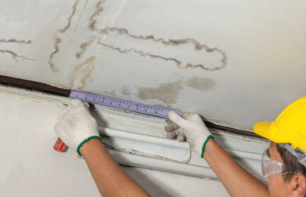 Reliable Basement Flooding contractor in Trenton, NJ by Local Water Damage Repair